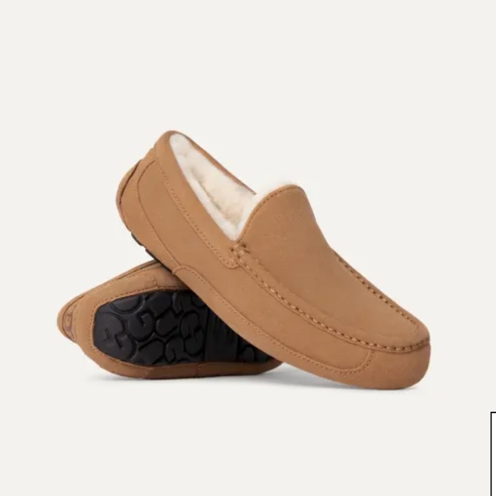 UGG Ascot Alder Slippers NEW